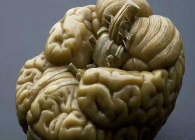 مسابقات دانش آموزی دانش مغز برگزار می گردد