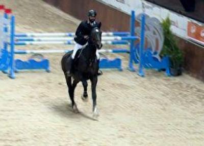 همگانی کردن ورزش سوارکاری با اسب های ایرانی