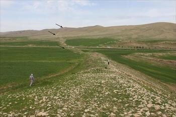 واکنش میراث فرهنگی کرمانشاه به کشف دیوار باستانی اسرارآمیز در غرب کشور ، مسیو چریکف هم در سفرنامه اش آورده است