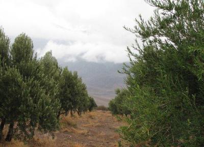 جریانات هوا در قزوین شمالی می شود