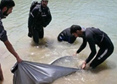 جسد جوان 23 ساله پلدختری از تالاب های ولیعصر بیرون کشیده شد