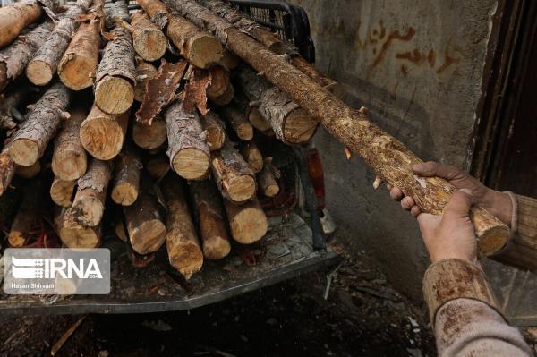 خبرنگاران سامانه بهره برداری و حمل چوب در لرستان راه اندازی خبرنگاران سامانه بهره برداری و حمل چوب در لرستان راه اندازی شد