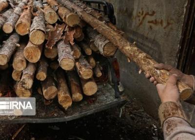 خبرنگاران سامانه بهره برداری و حمل چوب در لرستان راه اندازی شد