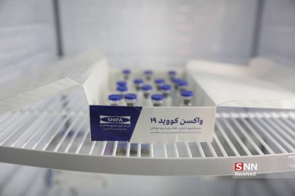 تمایل 75 درصد ایرانیان برای تزریق واکسن برکت، فاز سوم بالینی واکسن کووایران در 6 شهر شروع خواهد شد خبرنگاران