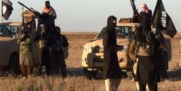 دستگیری 11 تروریست داعشی از سوی نیروهای امنیتی عراق در دیالی