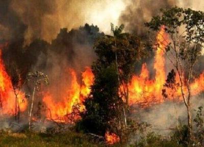 پایش هوشمند آتش سوزی در جنگل گلستان با اینترنت اشیا