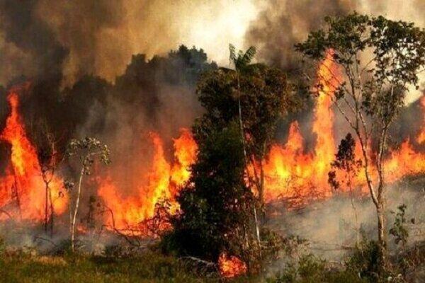 پایش هوشمند آتش سوزی در جنگل گلستان با اینترنت اشیا پایش هوشمند آتش سوزی در جنگل گلستان با اینترنت اشیا