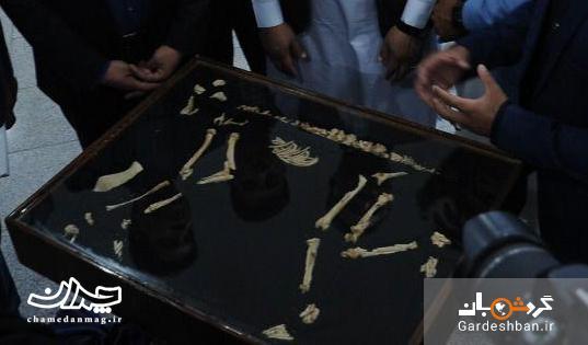کشف نادر در شهر سوخته؛ میمون باستانی و اشرافی مُرده در قفس، کشف نادر در شهر سوخته؛ میمون باستانی و اشرافی مُرده در قفس، دفن عجیب میمون همچون بچه ها باستان