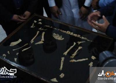 کشف نادر در شهر سوخته؛ میمون باستانی و اشرافی مُرده در قفس، دفن عجیب میمون همچون بچه ها باستان
